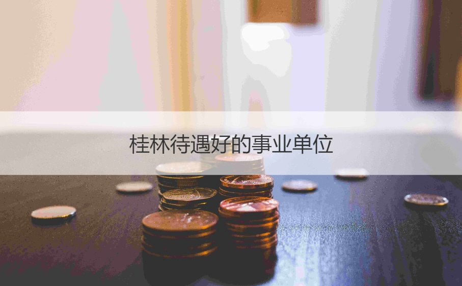 桂林待遇好的事业单位 桂林市政务中心编外人员招聘