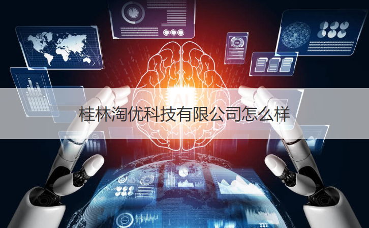 桂林淘优科技有限公司怎么样   科技公司经营范围